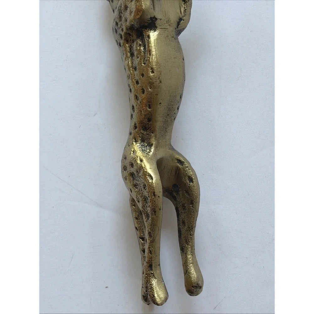 N/A cheetah leopard